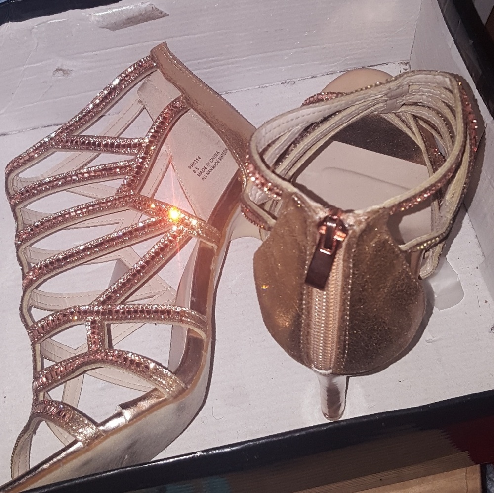 Sparkling Rose Shoes